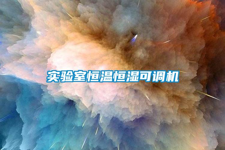 實驗室恒溫恒濕可調機
