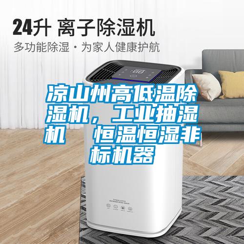 涼山州高低溫除濕機，工業(yè)抽濕機  恒溫恒濕非標機器