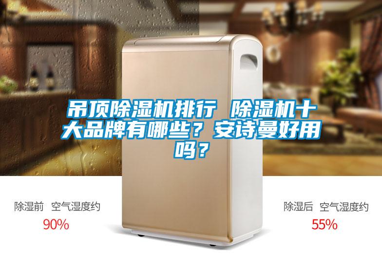 吊頂除濕機排行 除濕機十大品牌有哪些？安詩曼好用嗎？