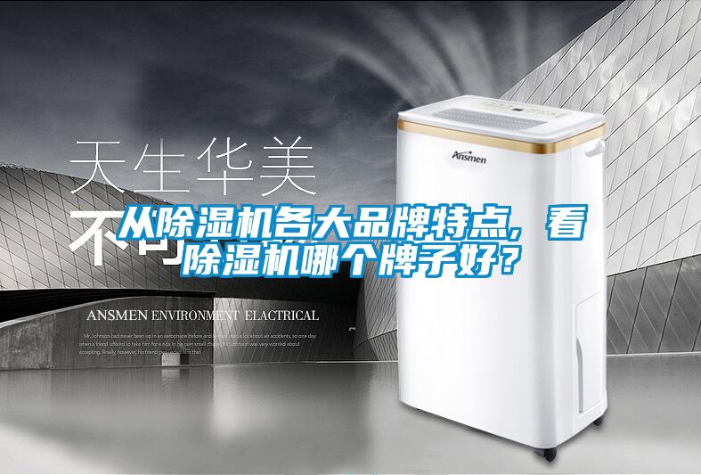 從除濕機各大品牌特點, 看除濕機哪個牌子好？
