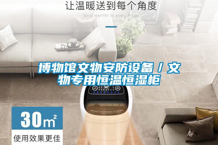 博物館文物安防設備／文物專用恒溫恒濕柜