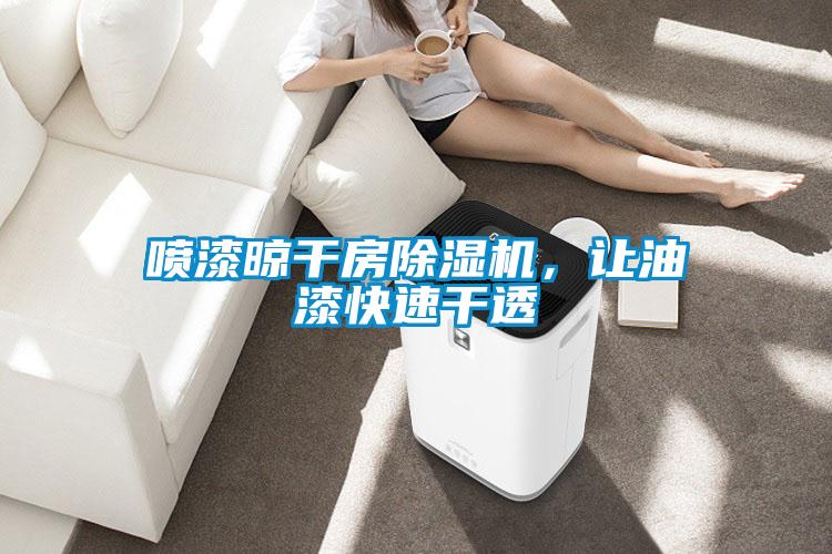 噴漆晾干房除濕機(jī)，讓油漆快速干透