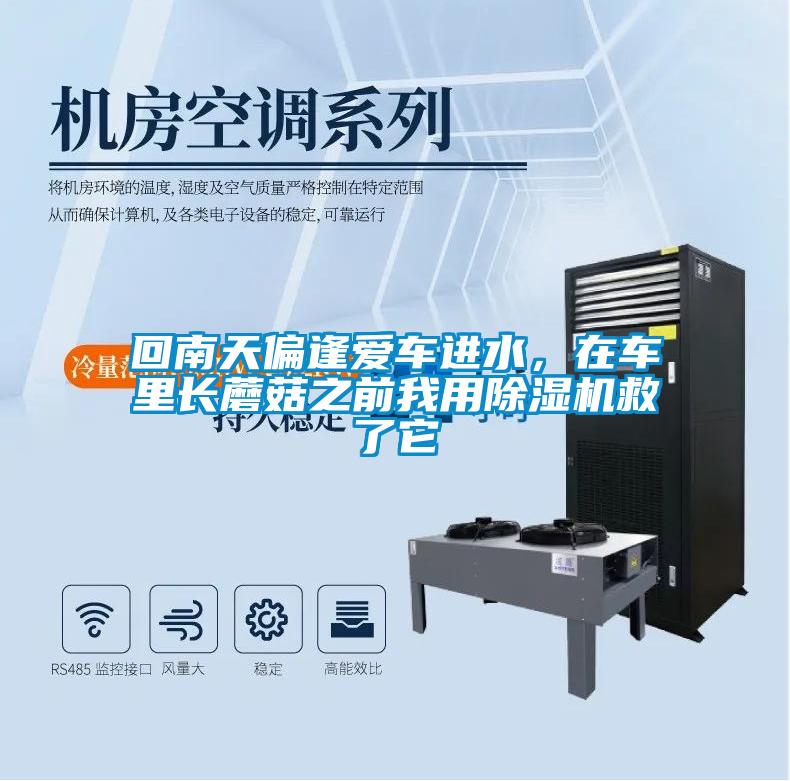 回南天偏逢愛(ài)車進(jìn)水，在車?yán)镩L(zhǎng)蘑菇之前我用除濕機(jī)救了它