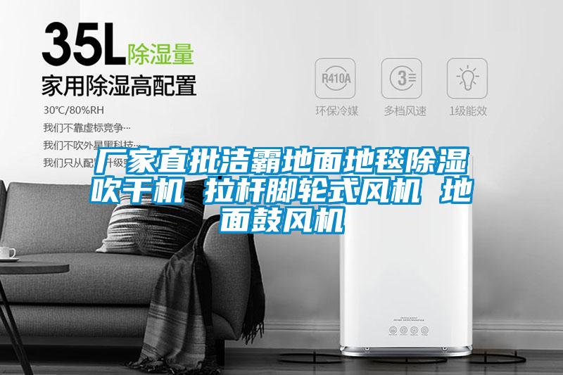廠家直批潔霸地面地毯除濕吹干機 拉桿腳輪式風機 地面鼓風機