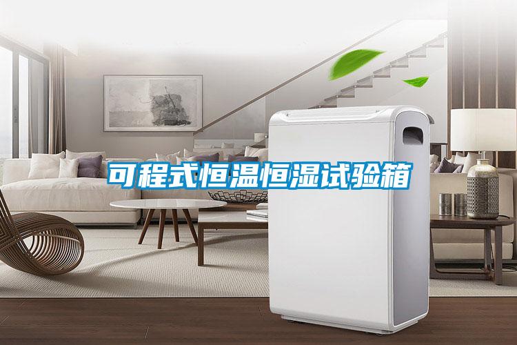 可程式恒溫恒濕試驗箱