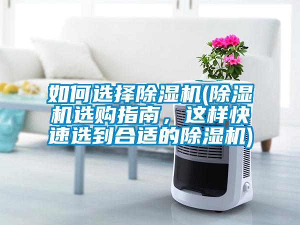 如何選擇除濕機(除濕機選購指南，這樣快速選到合適的除濕機)