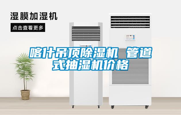 喀什吊頂除濕機 管道式抽濕機價格