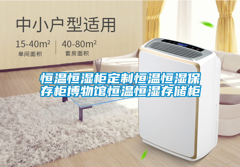 恒溫恒濕柜定制恒溫恒濕保存柜博物館恒溫恒濕存儲柜