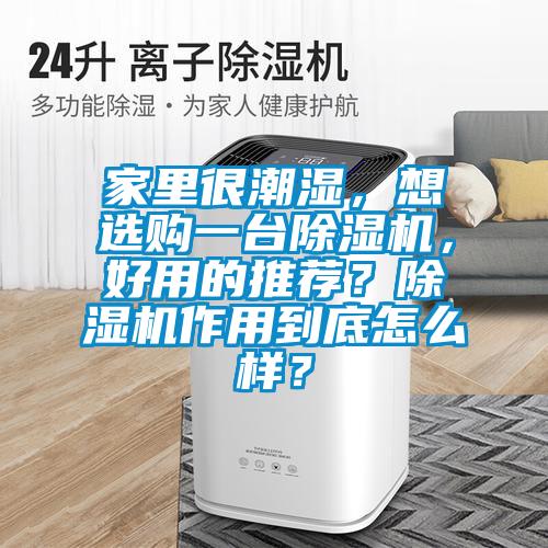 家里很潮濕，想選購一臺除濕機，好用的推薦？除濕機作用到底怎么樣？