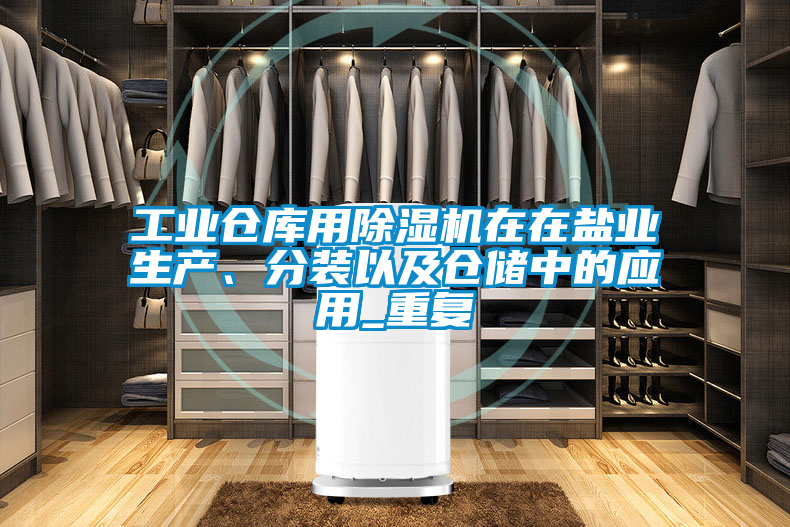 工業(yè)倉庫用除濕機在在鹽業(yè)生產(chǎn)、分裝以及倉儲中的應(yīng)用_重復(fù)
