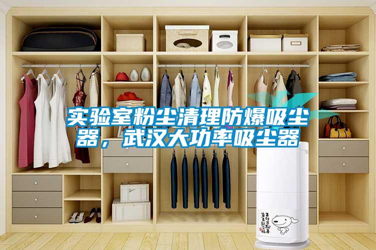 實驗室粉塵清理防爆吸塵器，武漢大功率吸塵器