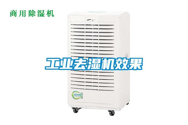 工業去濕機效果