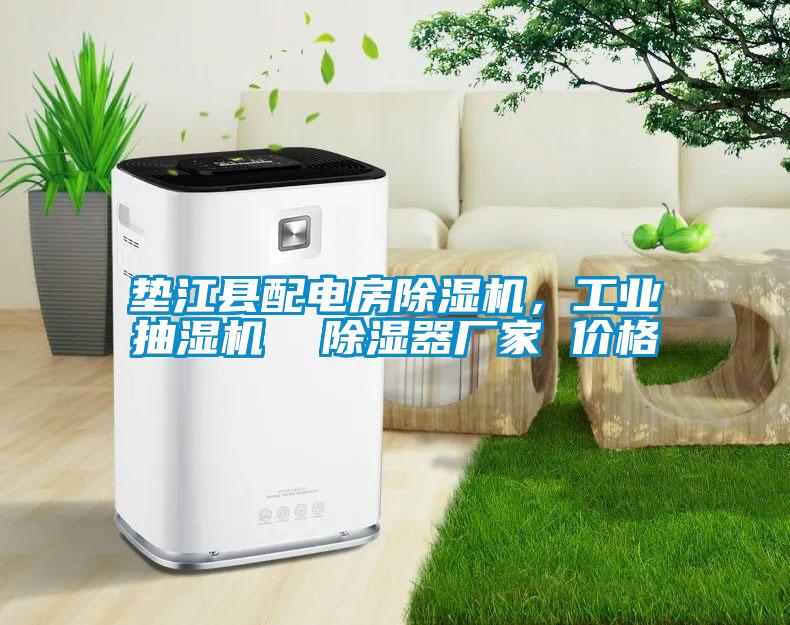 墊江縣配電房除濕機，工業抽濕機  除濕器廠家 價格