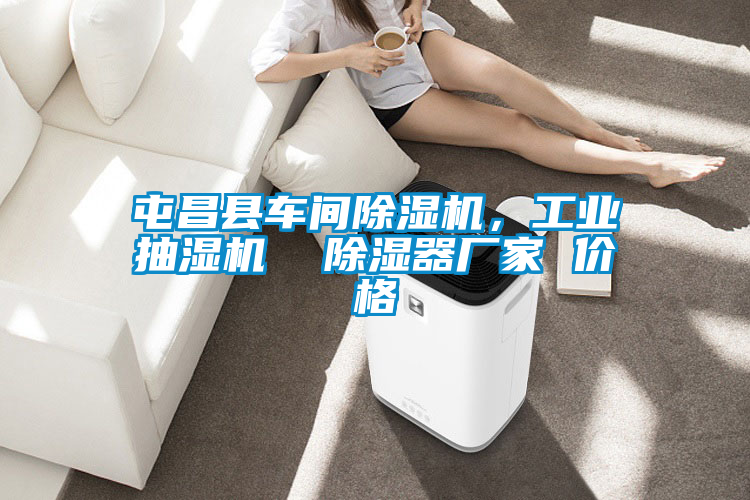 屯昌縣車間除濕機，工業抽濕機  除濕器廠家 價格