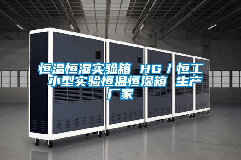 恒溫恒濕實驗箱 HG／恒工 小型實驗恒溫恒濕箱 生產廠家