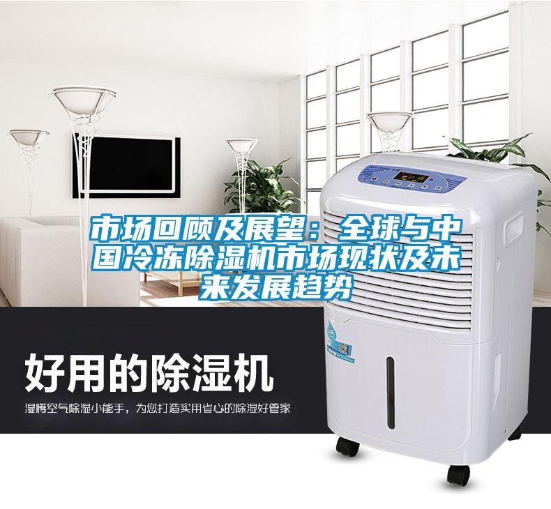 市場回顧及展望：全球與中國冷凍除濕機市場現狀及未來發展趨勢