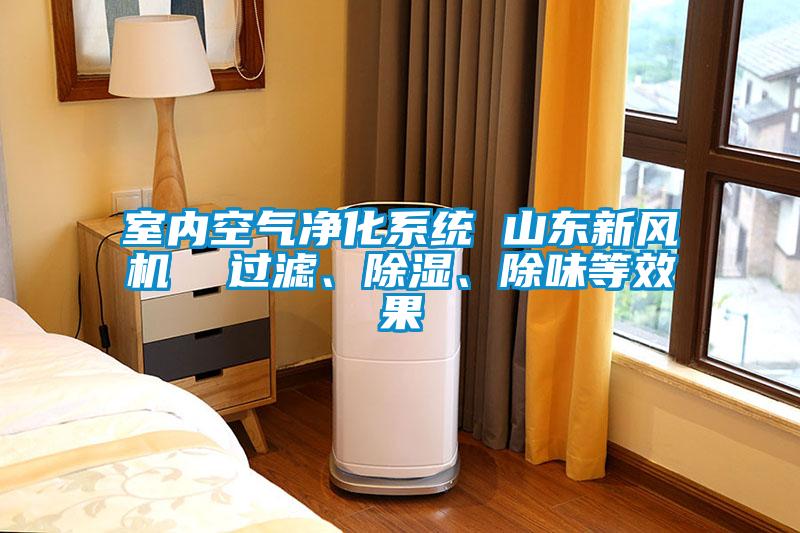 室內(nèi)空氣凈化系統(tǒng) 山東新風(fēng)機(jī)  過濾、除濕、除味等效果