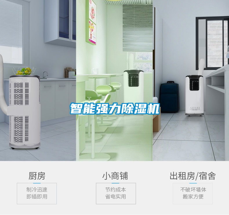 智能強(qiáng)力除濕機(jī)