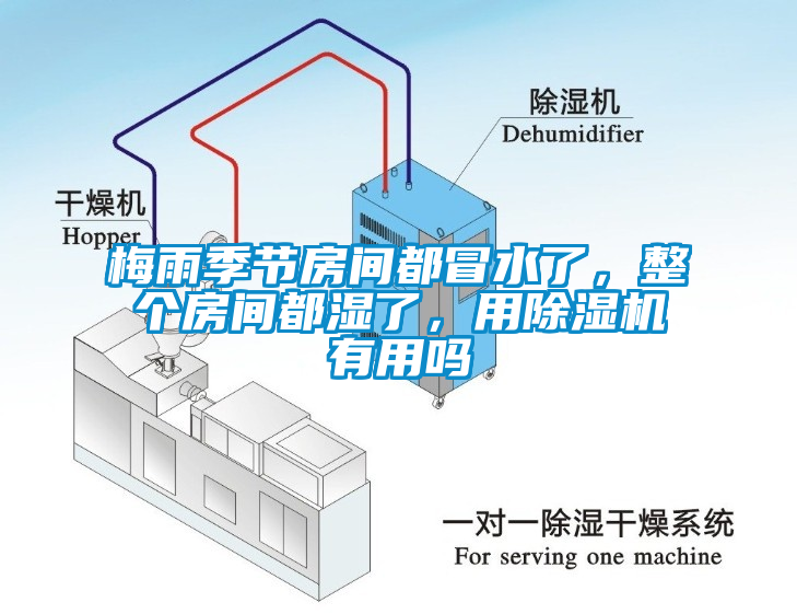 梅雨季節房間都冒水了，整個房間都濕了，用除濕機有用嗎