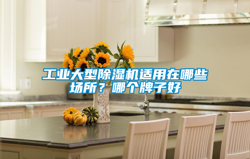 工業(yè)大型除濕機(jī)適用在哪些場(chǎng)所？哪個(gè)牌子好