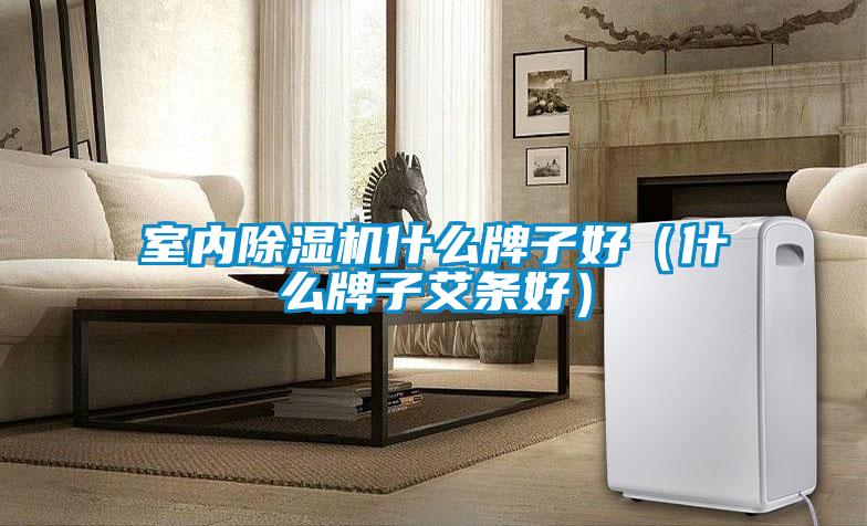 室內除濕機什么牌子好（什么牌子艾條好）