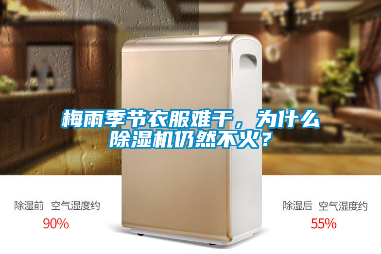 梅雨季節(jié)衣服難干，為什么除濕機(jī)仍然不火？