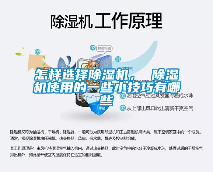 怎樣選擇除濕機， 除濕機使用的一些小技巧有哪些