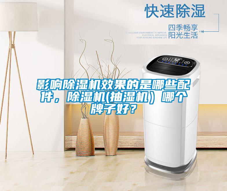 影響除濕機效果的是哪些配件，除濕機(抽濕機）哪個牌子好？