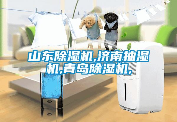 山東除濕機,濟南抽濕機,青島除濕機,