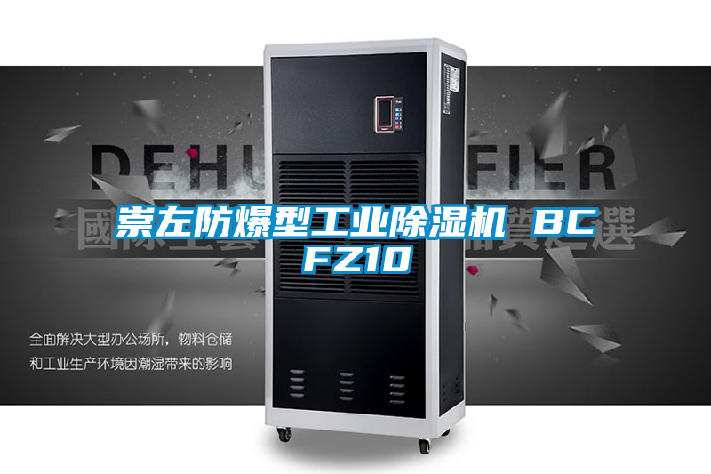 崇左防爆型工業(yè)除濕機 BCFZ10