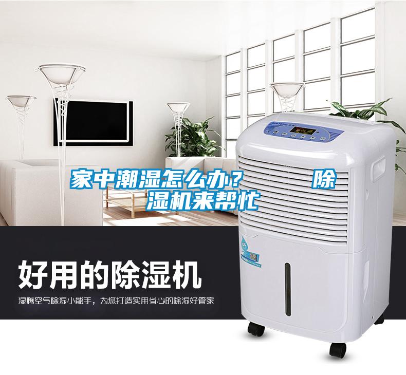 家中潮濕怎么辦？    除濕機來幫忙