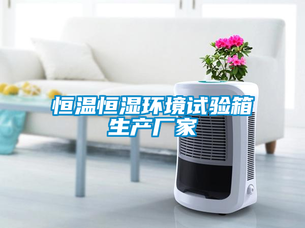 恒溫恒濕環境試驗箱生產廠家