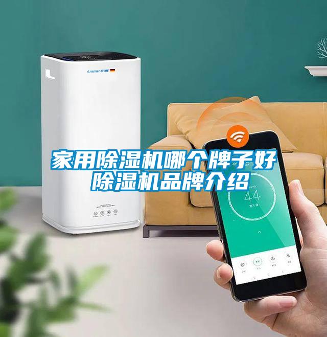 家用除濕機(jī)哪個(gè)牌子好 除濕機(jī)品牌介紹