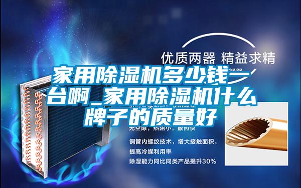家用除濕機(jī)多少錢(qián)一臺(tái)啊_家用除濕機(jī)什么牌子的質(zhì)量好
