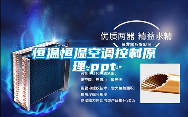 恒溫恒濕空調控制原理.ppt