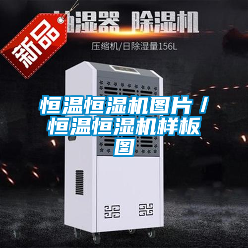 恒溫恒濕機圖片／恒溫恒濕機樣板圖