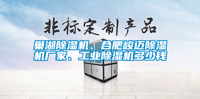 巢湖除濕機(jī)、合肥峻邁除濕機(jī)廠家、工業(yè)除濕機(jī)多少錢