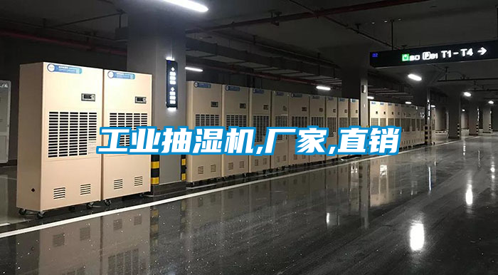工業(yè)抽濕機(jī),廠家,直銷