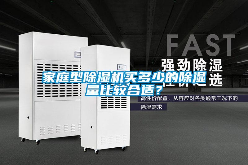 家庭型除濕機買多少的除濕量比較合適？
