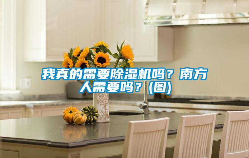我真的需要除濕機嗎？南方人需要嗎？(圖)