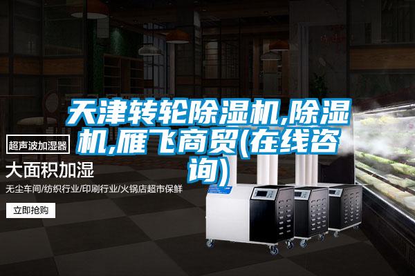 天津轉(zhuǎn)輪除濕機,除濕機,雁飛商貿(mào)(在線咨詢)