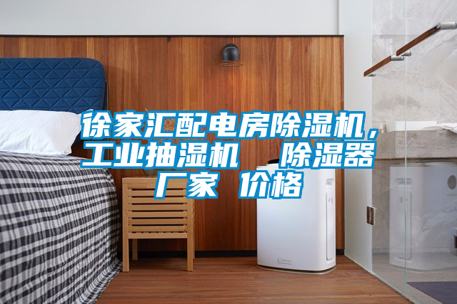 徐家匯配電房除濕機(jī)，工業(yè)抽濕機(jī)  除濕器廠家 價(jià)格