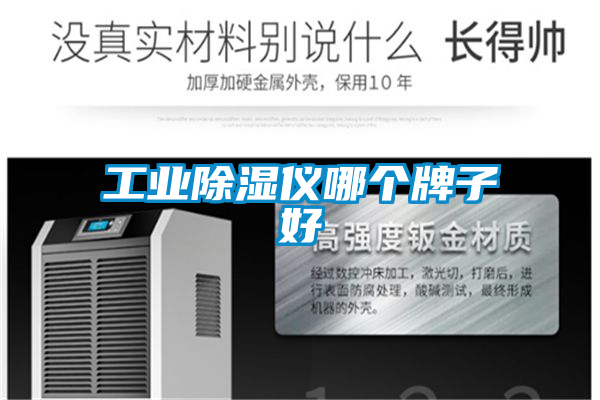 工業除濕儀哪個牌子好