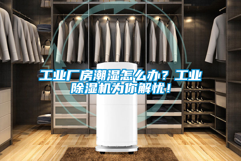 工業廠房潮濕怎么辦？工業除濕機為你解憂！