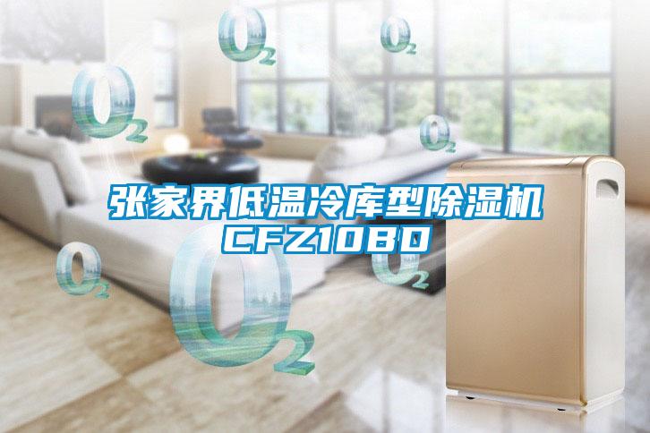 張家界低溫冷庫型除濕機CFZ10BD