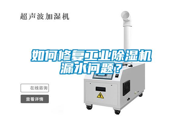 如何修復(fù)工業(yè)除濕機(jī)漏水問題？