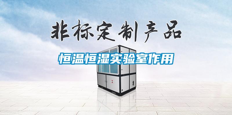 恒溫恒濕實(shí)驗(yàn)室作用