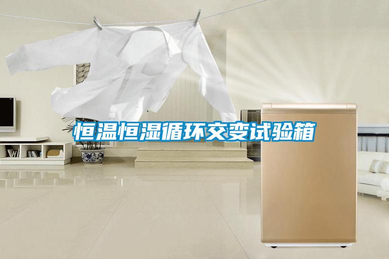 恒溫恒濕循環(huán)交變試驗箱