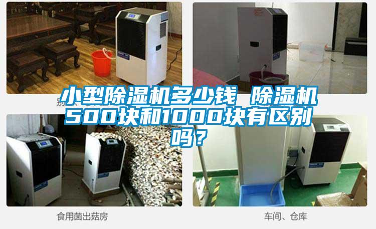 小型除濕機多少錢 除濕機500塊和1000塊有區別嗎？