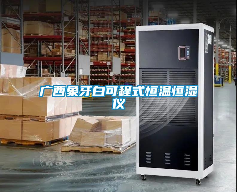 廣西象牙白可程式恒溫恒濕儀